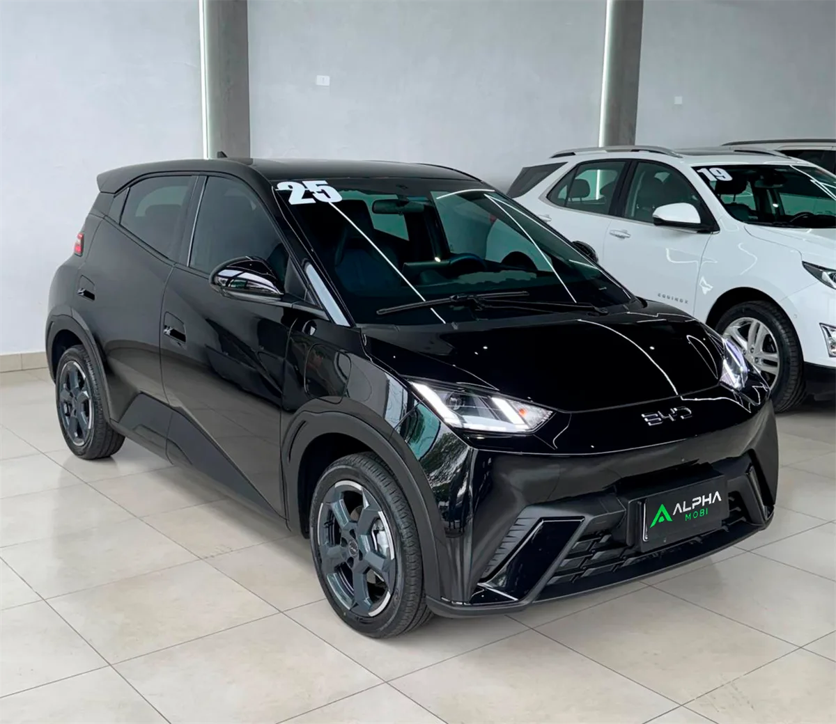 BYD Dolphin Mini elétrico para locação semanal na Alpha Mobi, em Maringá